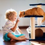 Un enfant qui joue avec son chat