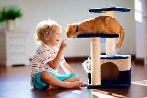 Un enfant qui joue avec son chat