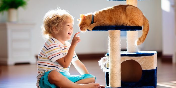Un enfant qui joue avec son chat